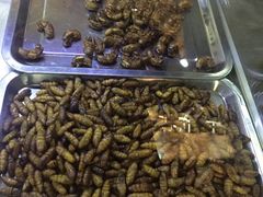 -乞丐酱驴(世纪大道店)
