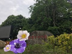 -梅峰山地公园