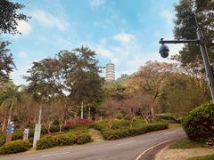 -深圳国际园林花卉博览园