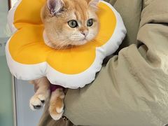 -美美宠物诊疗中心·异宠·骨科(滨江东信分院)