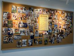 -翊宠yipet猫狗购宠庄园犬舍•猫舍