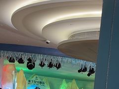 -帝企鹅自助餐厅•儿童岛•真企鹅(长隆企鹅酒店)