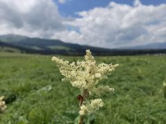 -新疆那拉提国家旅游度假区