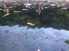 -京北渔家傲