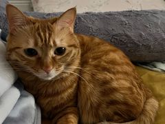 -新荟城(望京店)