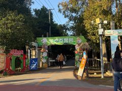 -上海长兴岛郊野公园