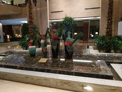 -常州环球恐龙城维景国际大酒店