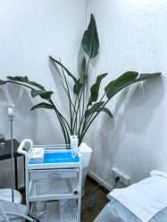 -上海首尔丽格医疗美容医院