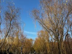 -滨湖塘西河公园