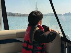 -金鸡湖桃花岛