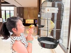 -上海崇明金茂凯悦酒店