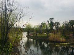 -上海长兴岛郊野公园