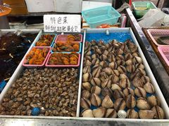 -大湾区中央湿地公园-十九涌