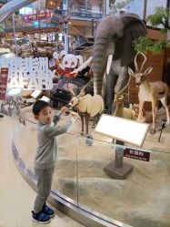 -卡通尼·Safari非洲探索乐园·生日会(金桥国际商业广场店)