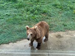 -西安秦岭野生动物园