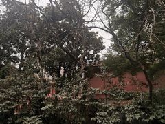 -浙江省杭州高级中学(贡院校区)