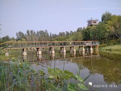 -东郊湿地公园