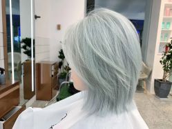 -Y-STUDIO原理