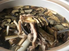 -爱膳菌锅锅(阳南店)