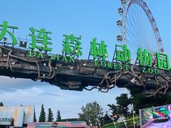 -大连森林动物园