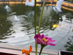 -广富林宰相府酒店·水云间