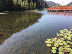 -广州市石门国家森林公园
