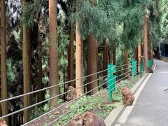 -太阳湾风景区