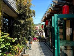 -慢丽江·云南野生菌土鸡锅(付家庄店)