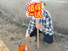 -红树林天天赶海