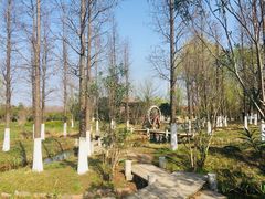 -习家池