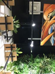 -吉米造型