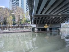 -运河游船(武林门码头)