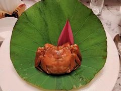 -常州武进九洲喜来登酒店