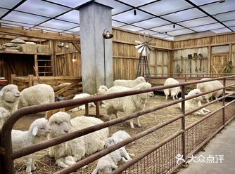 北京|没人不爱的skp-s