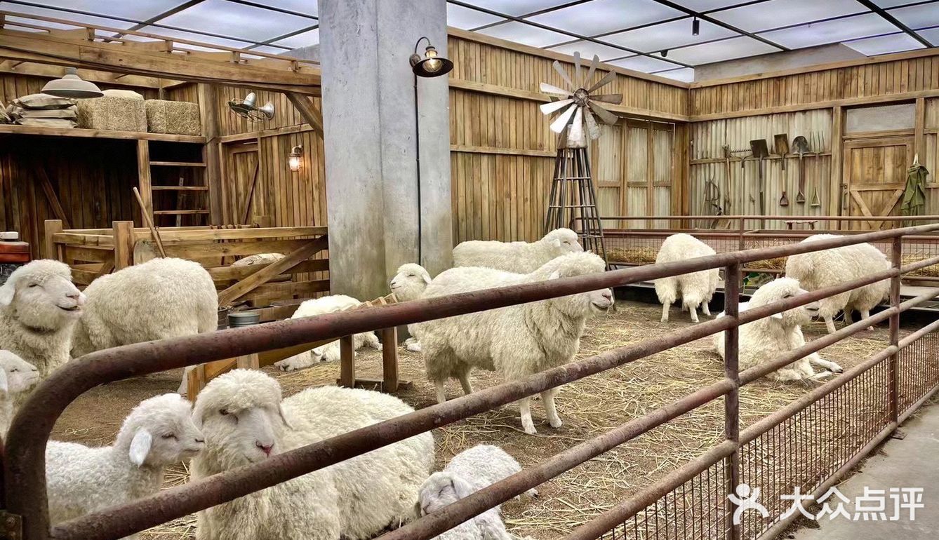 北京｜没人不爱的skp-s