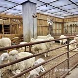 北京｜没人不爱的skp-s