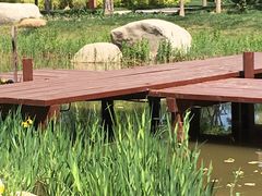 -武清南湖绿博园