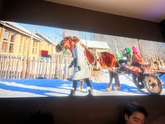 -山河屯铁锅炖鲜鹅·东北菜(开发区一店)