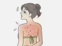 -丽减美瘦吧·减肥瘦身