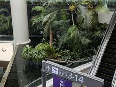 -鄂尔多斯伊金霍洛国际机场