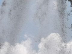-凤凰山国家森林公园