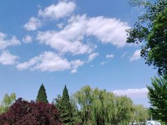 -元大都城垣遗址公园