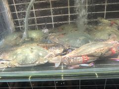 -宏运厨房·海鲜青岛菜·生日宴(城市阳台店)