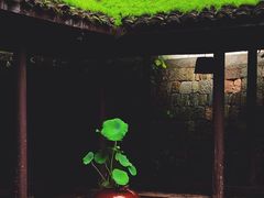 景观位-Metal hands·铁手咖啡