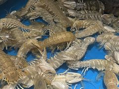 -辣盆盆麻辣小龙虾(哈尔滨总店)