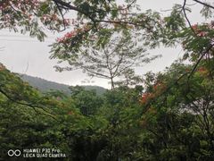 -呀诺达热带雨林