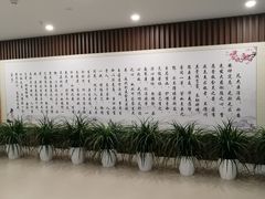 -北京中医药大学东直门医院(通州院区)