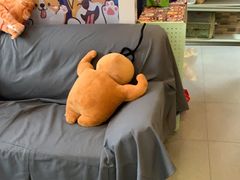 -芭比堂动物医院·心脏科·老年急重症·夜诊·吉雅分院
