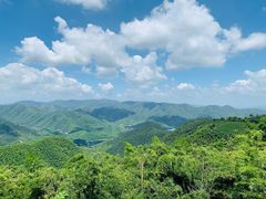 -莫干山风景区