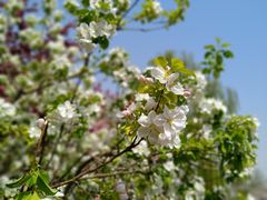 -三个大叔烤羊肉串·炭炉砂锅菜(西三旗店)